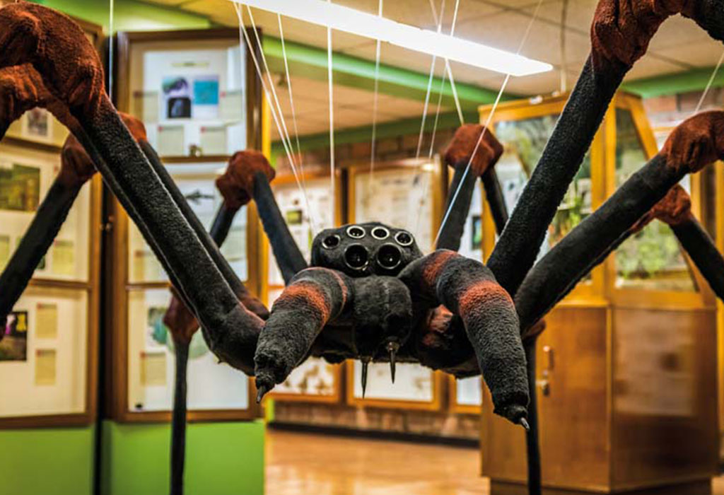 Una gran araña de peluche de color negro con café es sostenida con cables transparentes en medio de la sala del Museo de insectos